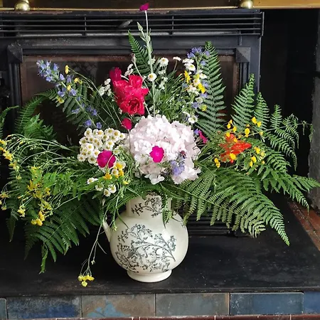 Сasa de vacaciones La Belle Ancienne Lacanau