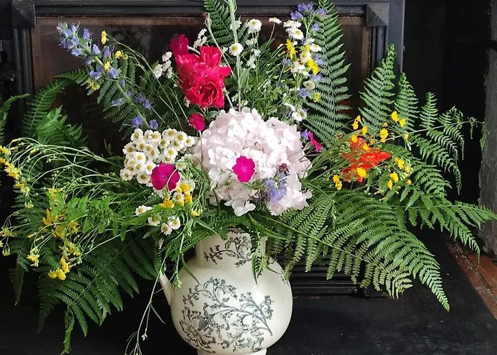 Casa vacanze La Belle Ancienne Lacanau